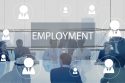 Employment in India up 36 % between 2016-17 and 2022-23