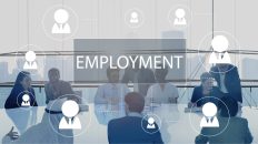 Employment in India up 36 % between 2016-17 and 2022-23